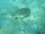 IMG_6324 (2)